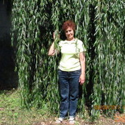 ���������� ����, ���� ������� �������, 70 ���, ������������ ��� ������