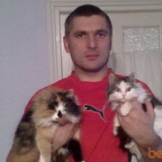  ,   VOVA, 50 ,     , c 