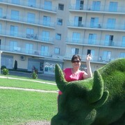 ���������� ���������, ���� ������� �����, 61 ���, ������������ ��� ����� � ���������, c�������� ���������