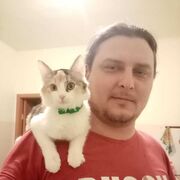 ���������� ����� �������, ������� �����, 41