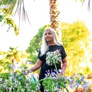 ���������� ����, ���� ������� ����, 32 ����, ������������ ��� c�������� ���������