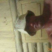  -,   , 52 ,     , c 