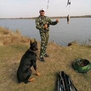 ���������� ��������, ���� ������� ������, 44 ����, ������������ ��� ������, ����� � ���������, c�������� ���������, ���������