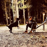 ���������� ������, ���� ������� ����, 29 ���, ������������ ��� ������, ����� � ���������