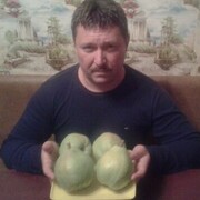 ���������� ����, ���� ������� ��������, 53 ����, ������������ ��� ����� � ���������, c�������� ���������