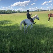 ���������� �����������, ���� ������� Farid, 29 ���, ������������ 