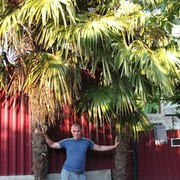 ���������� �������, ���� ������� ������, 41 ���, ������������ ��� ������, ���������