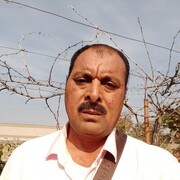  ,   Alsyd, 49 ,   ,   