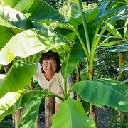 ���������� �������, ���� ������� �������, 63 ����, ������������ ��� c�������� ���������