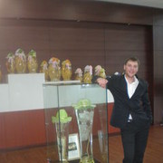 ���������� ������, ���� ������� �������, 44 ����, ������������ ��� ������