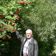  ,   Igor, 71 ,   