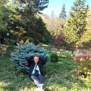 ���������� ������, ���� ������� ������, 45 ���, ������������ ��� ����� � ���������, c�������� ���������, ���������