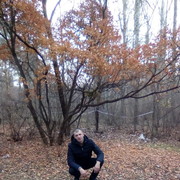 ���������� ���������, ���� ������� MAX, 44 ����, ������������ ��� ������, ����� � ���������, c�������� ���������