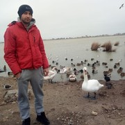  ,   , 35 ,   ,   , c 