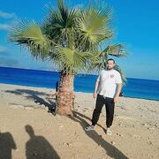  Korfez,  Elyor, 31