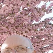  ,   Bezumetz, 56 ,     , c , 