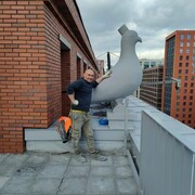  ,   , 36 ,   ,   , c , 