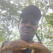  -,   , 56 ,   ,   , c 