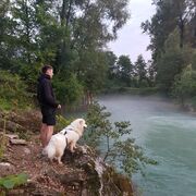 ���������� ������-��-����, ���� ������� �����, 33 ����, ������������ ��� ������, ����� � ���������, c�������� ���������