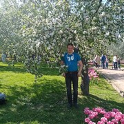  ,     , 43 ,   ,   , c 
