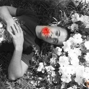 ���������� ������, ���� ������� �������, 36 ���, ������������ ��� ������, ����� � ���������, c�������� ���������