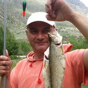  Novy,   Gazali, 58 ,   ,   , c 