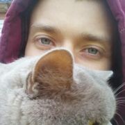 ���������� ������������, ����