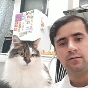  ,   , 36 ,   ,   