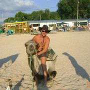 ���������� ���������, ���� ������� �������, 48 ���, ������������ 