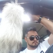  ,   Yashar, 41 ,   ,   , c 