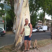 ���������� �������, ���� ������� ���������, 50 ���, ������������ ��� ����� � ���������, c�������� ���������