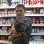 ���������� ������, ���� ������� ��������, 43 ����, ������������ ��� ������, ����� � ���������, c�������� ���������