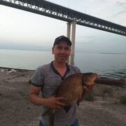 ���������� ���������, ���� ������� ANATOLY, 36 ���, ������������ ��� ������, ����� � ���������, ���������