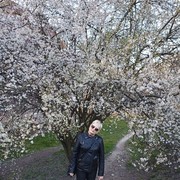 ���������� �����������, ���� ������� ��������, 51 ���, ������������ ��� ������, ����� � ���������, c�������� ���������