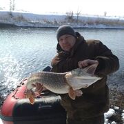 ���������� ����, ���� ������� �������, 40 ���, ������������ 