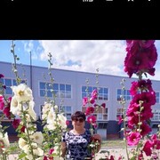  ,   , 60 ,   ,   