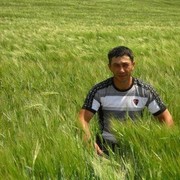 ���������� �������, ���� ������� Vanea, 45 ���, ������������ ��� ������, ����� � ���������, c�������� ���������