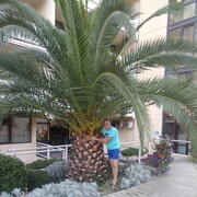 ���������� ���������, ���� ������� ������, 54 ����, ������������ ��� ������, ����� � ���������