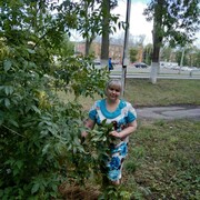  ,   , 53 ,   