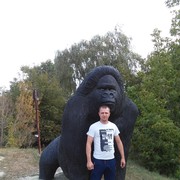  ,   , 43 ,   