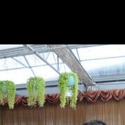 ���������� �����, ���� ������� �����, 53 ����, ������������ ��� ������, ����� � ���������, c�������� ���������