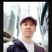  -,   , 41 ,   , 