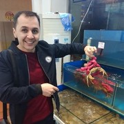  ,   ADAM, 41 ,   