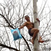 ���������� ������, ���� ������� ������, 38 ���, ������������ ��� ������, ����� � ���������