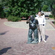   ,   , 54 ,     , c , 