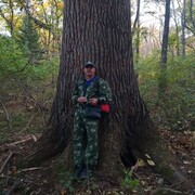 ���������� ����������, ���� ������� ������, 55 ���, ������������ ��� ������, ����� � ���������, c�������� ���������, ���������