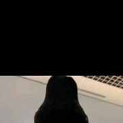 ���������� ���������, ���� ����� ���������, 24 ����, ������������ ��� ������, ����� � ���������