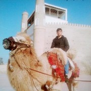 ���������� �����-���������, ���� ������� �����, 32 ����, ������������ ��� ������, ����� � ���������, c�������� ���������