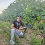 ���������� ������, ���� ������� ������, 39 ���, ������������ ��� c�������� ���������, ���������