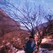 ���������� ������ ��������, ���� ������� �����, 44 ����, ������������ ��� ������, ����� � ���������, c�������� ���������